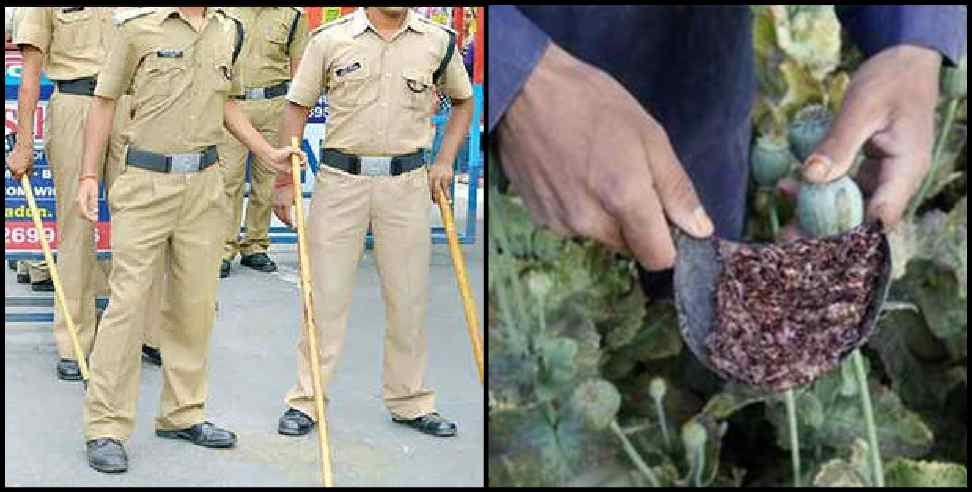 Uttarakhand opium: 4 accused arrested with illegal opium in uttrakhand