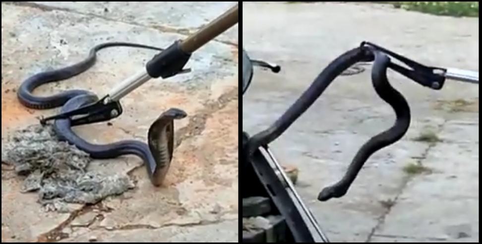 Haridwar News: A snake came out from inside the scooty in Haridwar