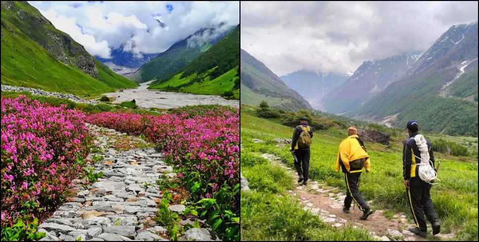 Valley of Flowers tourist missing: Tourist missing in Valley of flowers Chamoli SDRF search operation