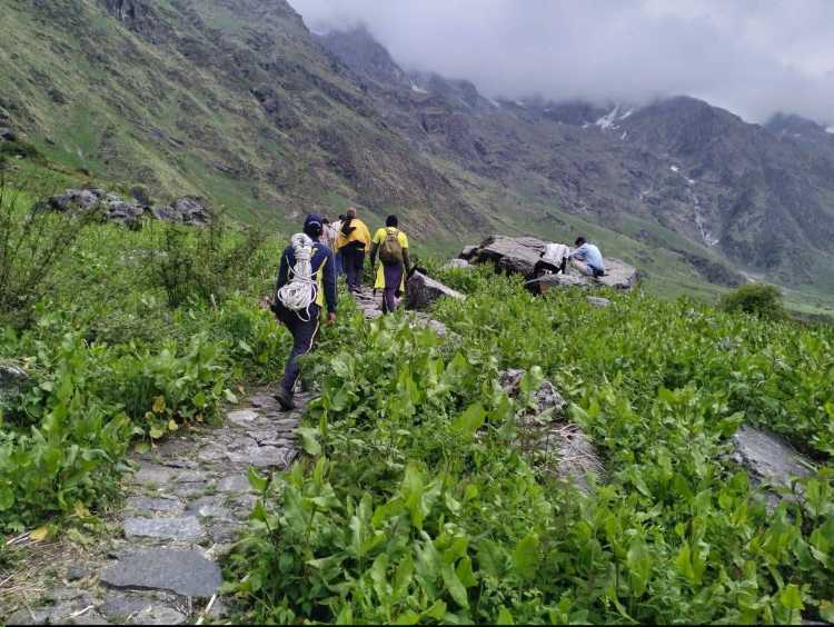 Tourist missing in Valley of flowers