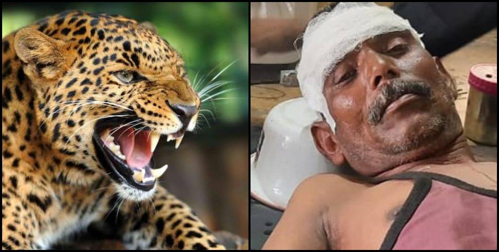 Pithoragarh news: Pratap ram fought with leopard in pithoragarh