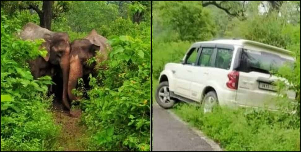 kotdwar elephant video: elephants damaged scorpio in Kotdwar