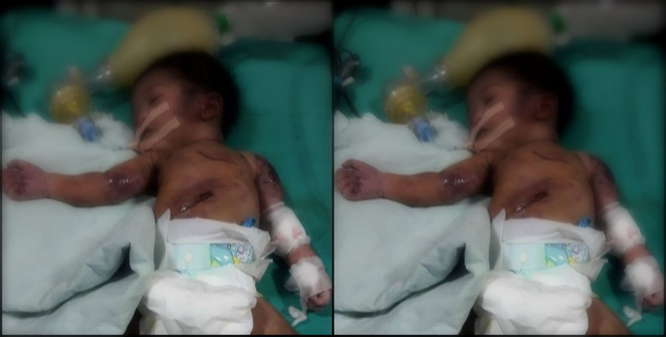 उत्तराखंड न्यूज: New born baby found in dehradun