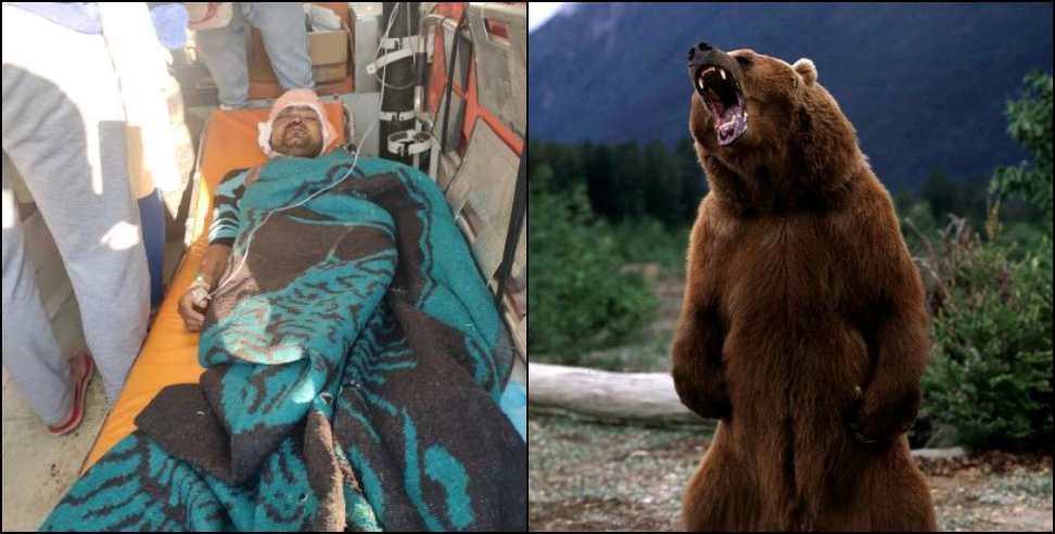 Chamoli news: bear attack on boy in chamoli