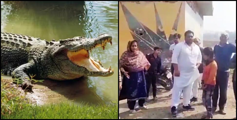crocodile in the village: three crocodile enter the village in haridwar