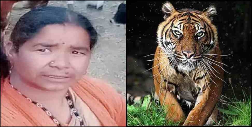 Pauri Garhwal tiger attack: Tiger attack on woman in Pauri Garhwal