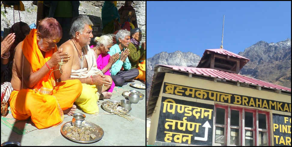 उत्तराखंड: Story of brahma kapal uttarakhand