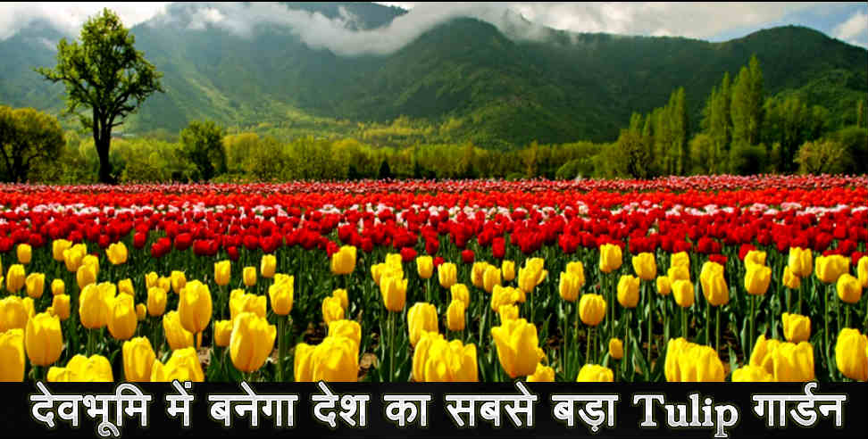 उत्तराखंड: INDIAS LARGEST TULIP GARDEN TO OPEN IN UTTARAKHAND