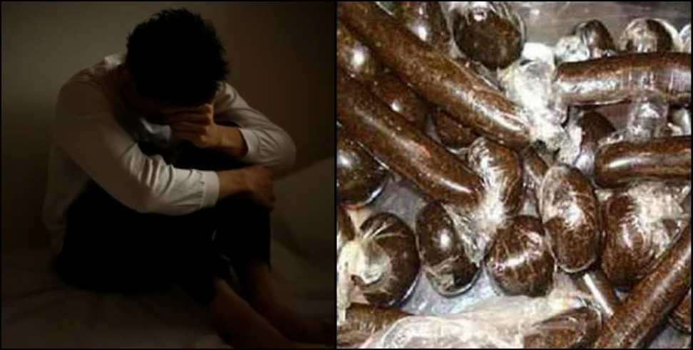 Dehradun college student smuggler: College student turns charas smuggler in Dehradun