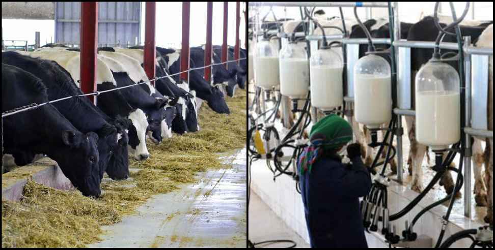 Hitech Milk Dairy Srinagar Garhwal: Hitech Milk Dairy to be made in Srinagar Garhwal
