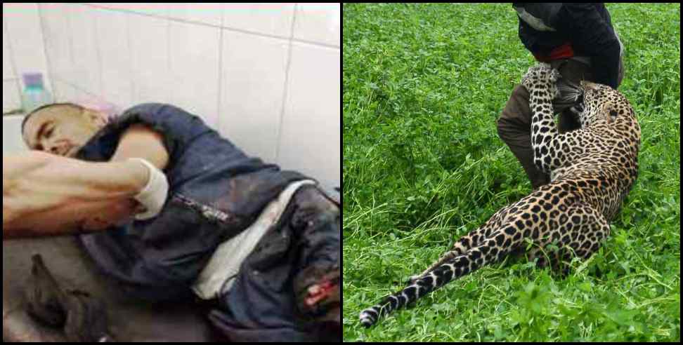 Rudraprayag News: Leopard attacked farmer in rudraprayag