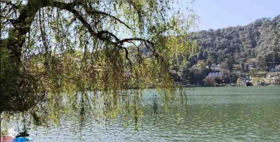 laila majnu nainital: Nainital Lake Laila Majnu Tree