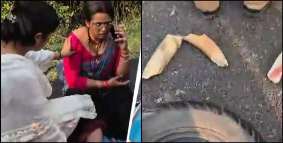 Uttarakhand Elephant Accident: Rare Human-Elephant Collision Reported on Khatima-Tanakpur Highway