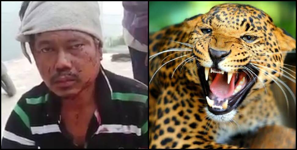 Leopard Pauri Garhwal: youth of the village clashed with the Guldar