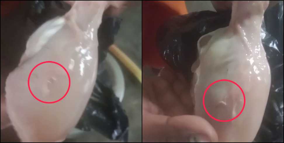 Worms Found in Chicken Meat in Uttarakhand