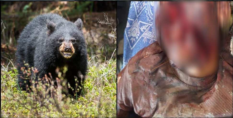 Pauri Garhwal News: Bear attack on youth in Pauri Garhwal