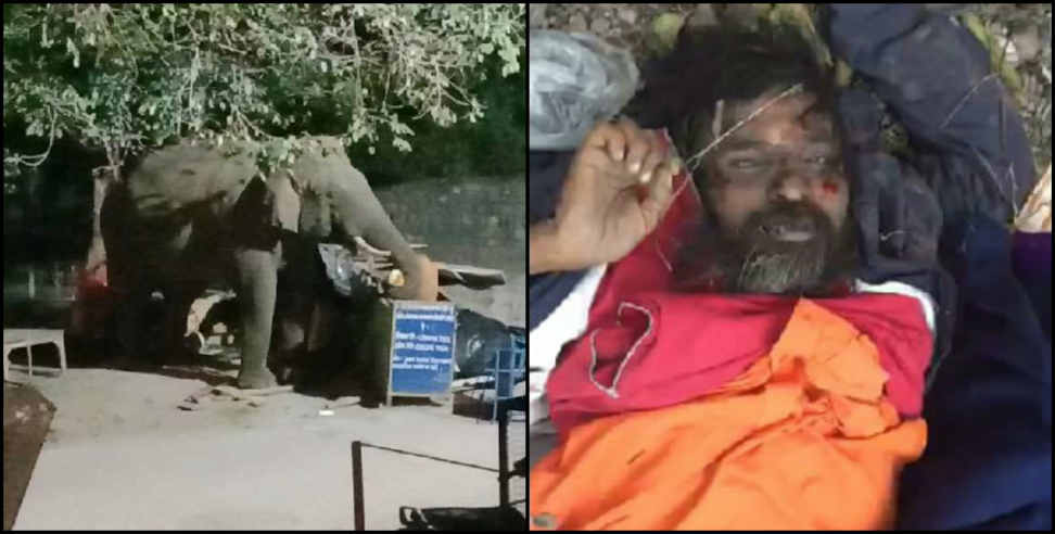 rishikesh elephant: rishikesh elephant killed a sadhu