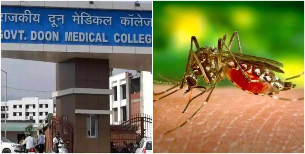 Dengue in Uttarakhand: Dengue season starts with increasing heat stay safe