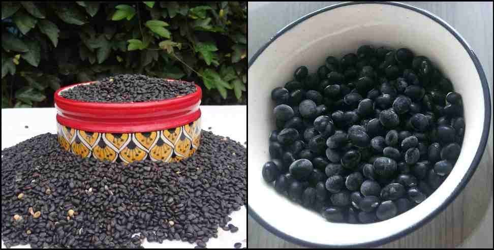 Pahadi Health benefits: Health benefits of pahadi black soyabean