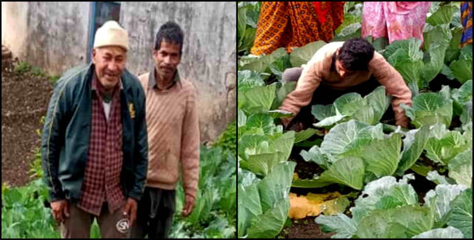 Suresh chandra neolia: Retired soldier did organic vegetable cultivation on mountain
