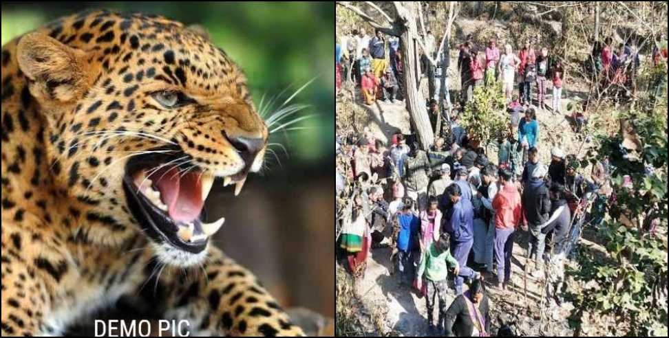Human-wildlife conflict: Leopard Attack people in Ghartoli village