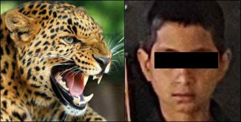 Tehri Garhwal Ghansali leopard attack on Arnab