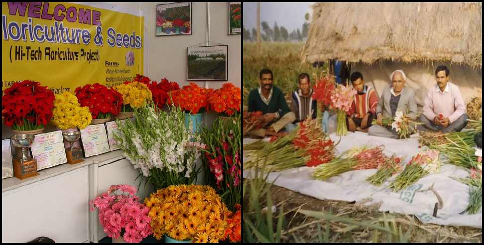 Kashipur floriculture: Vijay did floriculture in Kashipur