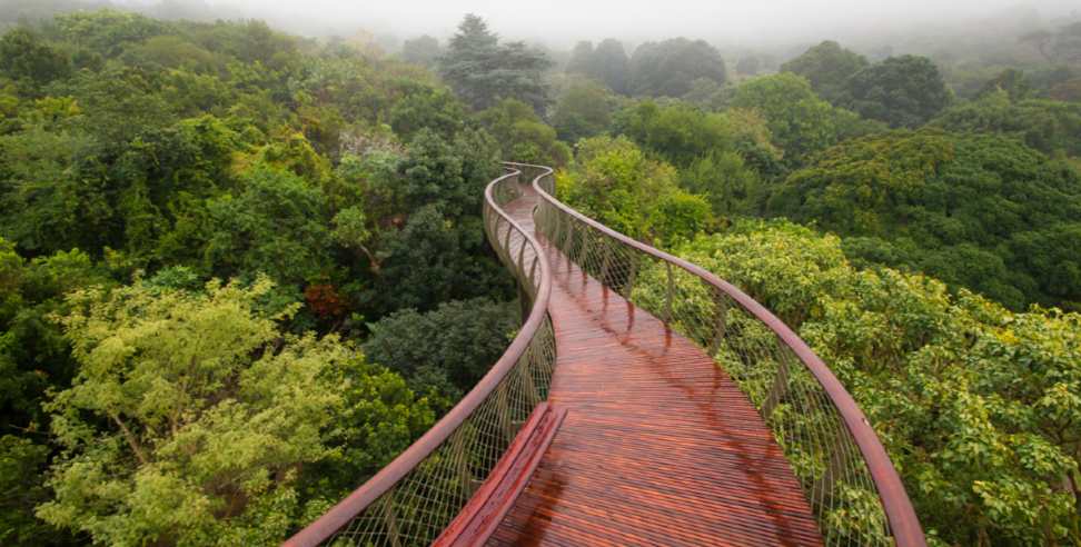 Rudraprayag News Rudraprayag Canopy Walk Way: Uttarakhand first canopy walkway to be built in Rudraprayag