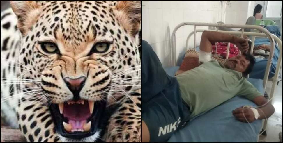 Dinesh Panwar Leopard: Pauri Garhwal Dinesh Panwar Fight With Leopard