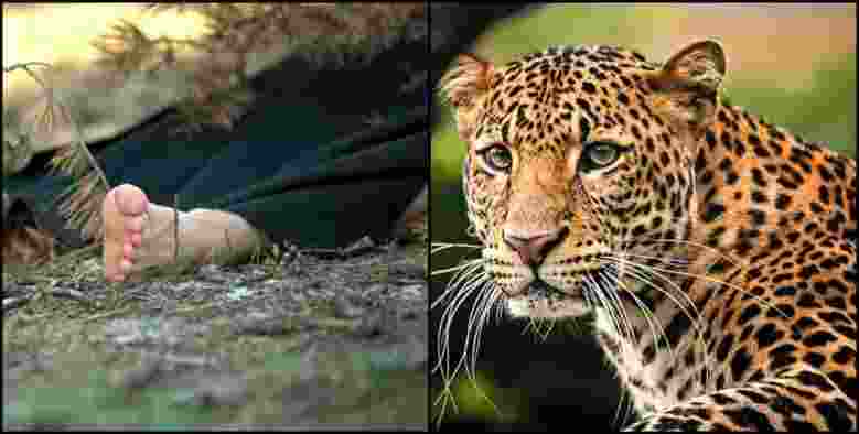 Riknikhal Leopard Killed Woman: Leopard Killed Woman in Pauri Garhwal Rikhnikhal