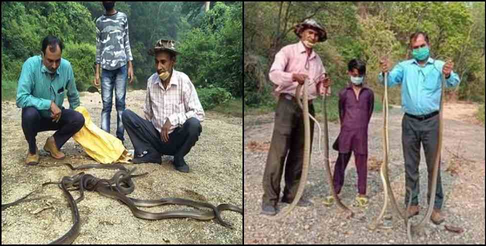 Story of Chandrasena the snack catcher of Ramnagar