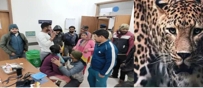 Leopard attack Srinagar Garhwal : 4 year old Child dies in leopard attack in Srinagar
