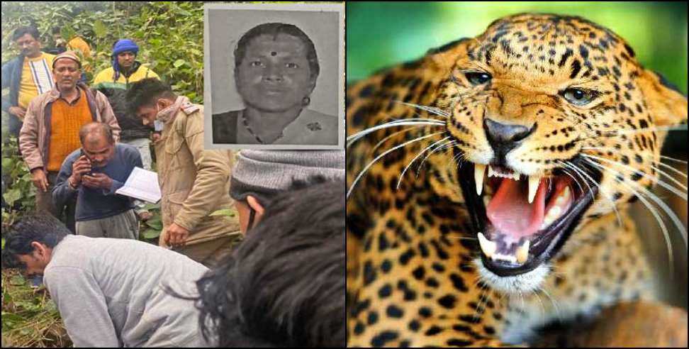 Leopard in Haldwani: Leopard Attacks and kills Woman in Haldwani
