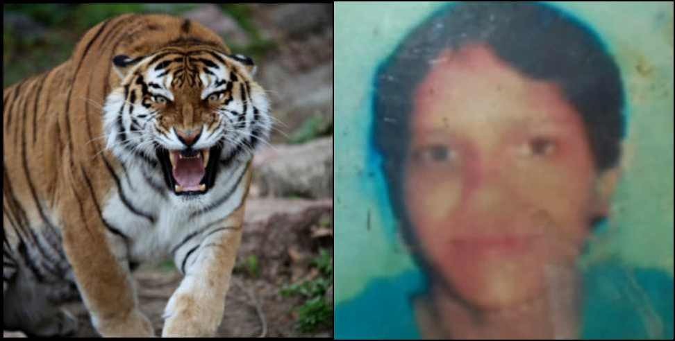 ramnagar anita devi tiger: Tiger attack on Anita Devi in Ramnagar