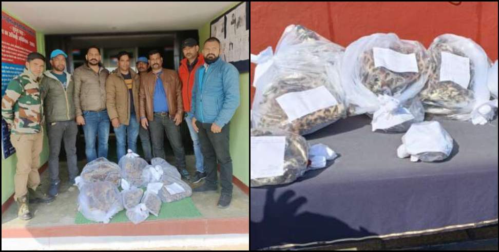 Pithoragarh News: Smuggler arrested with leopard skin in Pithoragarh