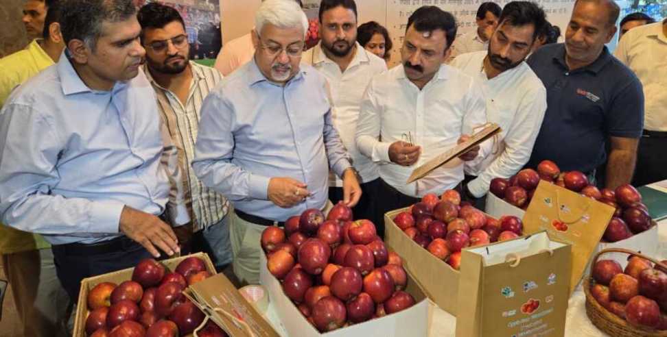 King Rot apple: 1 2 MT consignment of King Rot apples headed to Dubai