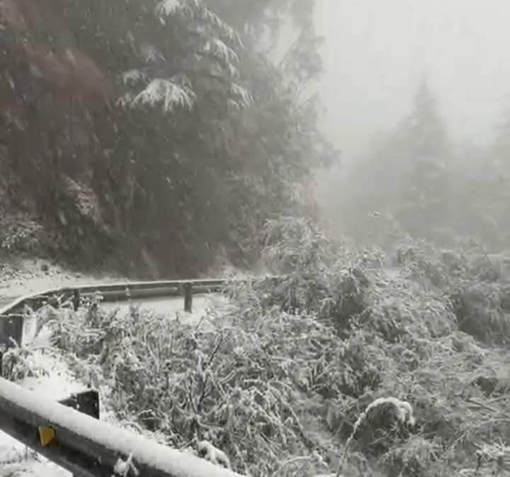 snowfall in Mussoorie-Dhanaulti