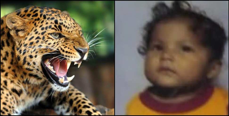 Leopard attacked 4-year-old Bharti in Berinag