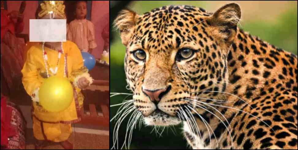 Gangolihat Leopard Anshu Death: Leopard attack on 2 year old kid Anshu in Pithoragarh Gangolihat