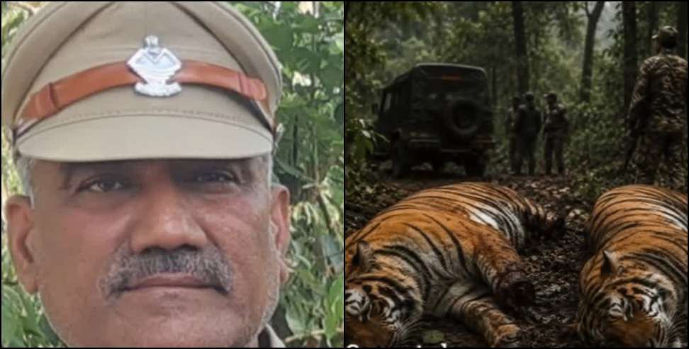 Haridwar Tiger Poaching Case: Big Action in Uttarakhand Forest Department After Tiger Death Case