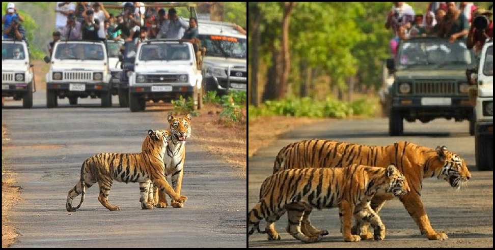Corbett National Park: Corbett National Park will open from October 15