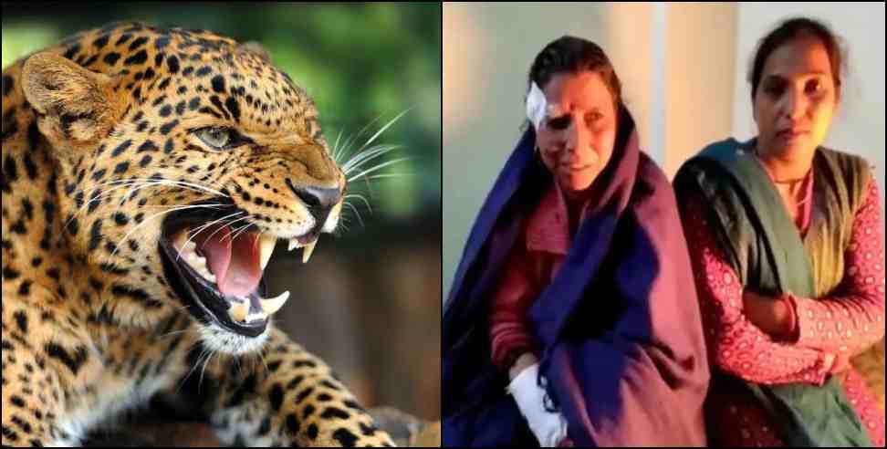 pauri pushpa devi leopard: Pauri Garhwal Patisain Pushpa Devi Fight With Leopard