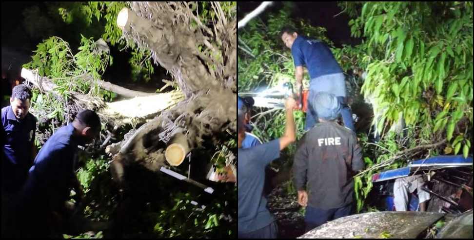 Champawat Tanakpur tree fell: 2 people died due to falling of tree in Tanakpur of Champawat