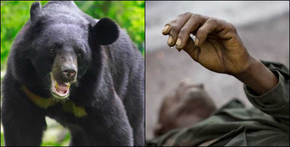 bear attack on BRO worker in munsiyari