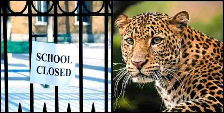 Tehri Garhwal School Closed: School closed in Tehri Garhwal leopard fear