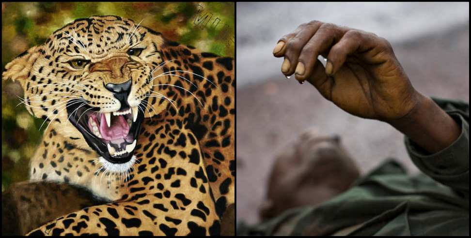 Uttarakhand Leopard: Ramnagar Corbett Park Leopard