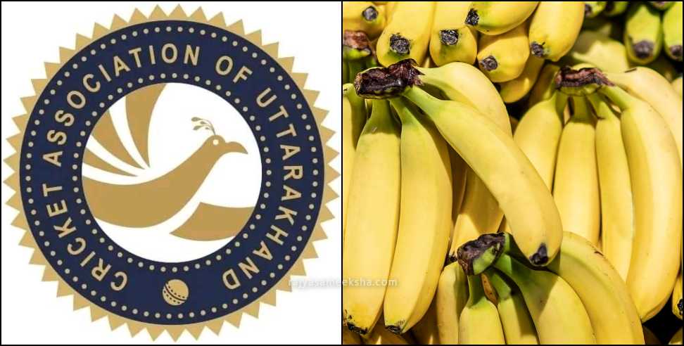 Uttarakhand Cricket Association: Uttarakhand Cricket Association spent  35 lakh on bananas