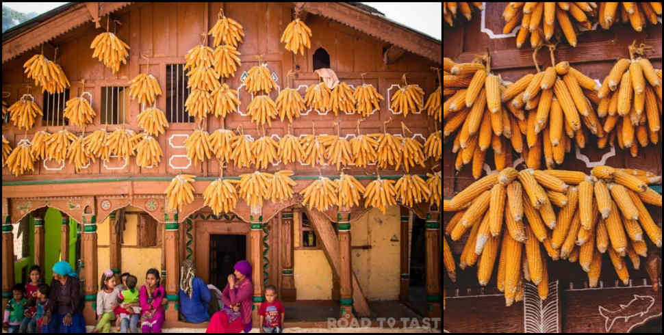 उत्तराखंड न्यूज: Senji bhitoli corn village of uttarakhand