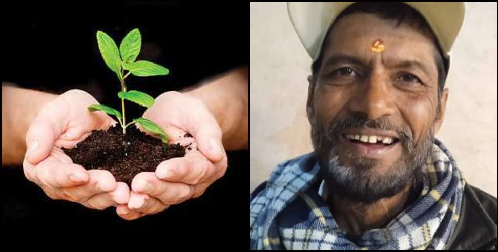 Bageshwar Dinesh Lohani: Dinesh Lohani of Bageshwar has so far grown more than 1 lakh saplings