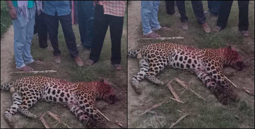 Leopard attacked a farmer: Leopard attacked a farmer in Uttarakhand got killed
